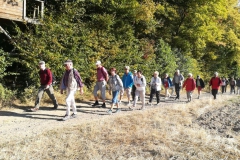 319. Wanderung am 15.09.2018, Rodder Maar und Königsses (112)