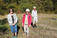 319. Wanderung am 15.09.2018, Rodder Maar und Königsses (129)