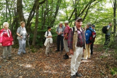 319. Wanderung am 15.09.2018, Rodder Maar und Königsses (135)