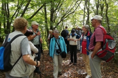 319. Wanderung am 15.09.2018, Rodder Maar und Königsses (138)