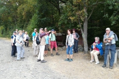 319. Wanderung am 15.09.2018, Rodder Maar und Königsses (140)