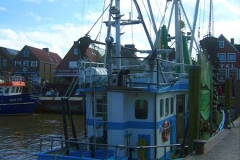 dbwv-ostfriesland2014-12